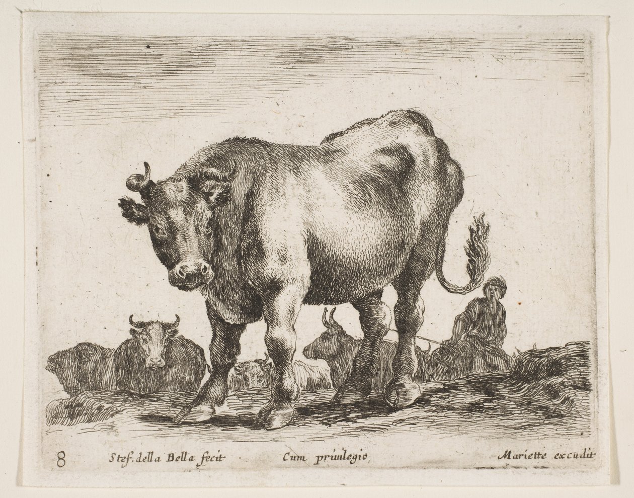 Planche 8 : vache, de Divers animaux Diversi animali, vers 1641 - Stefano della Bella