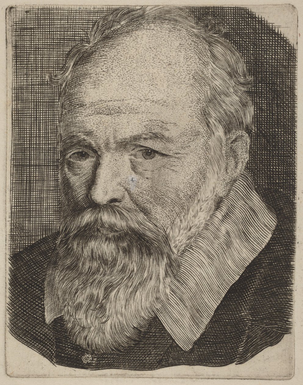 Portrait d
