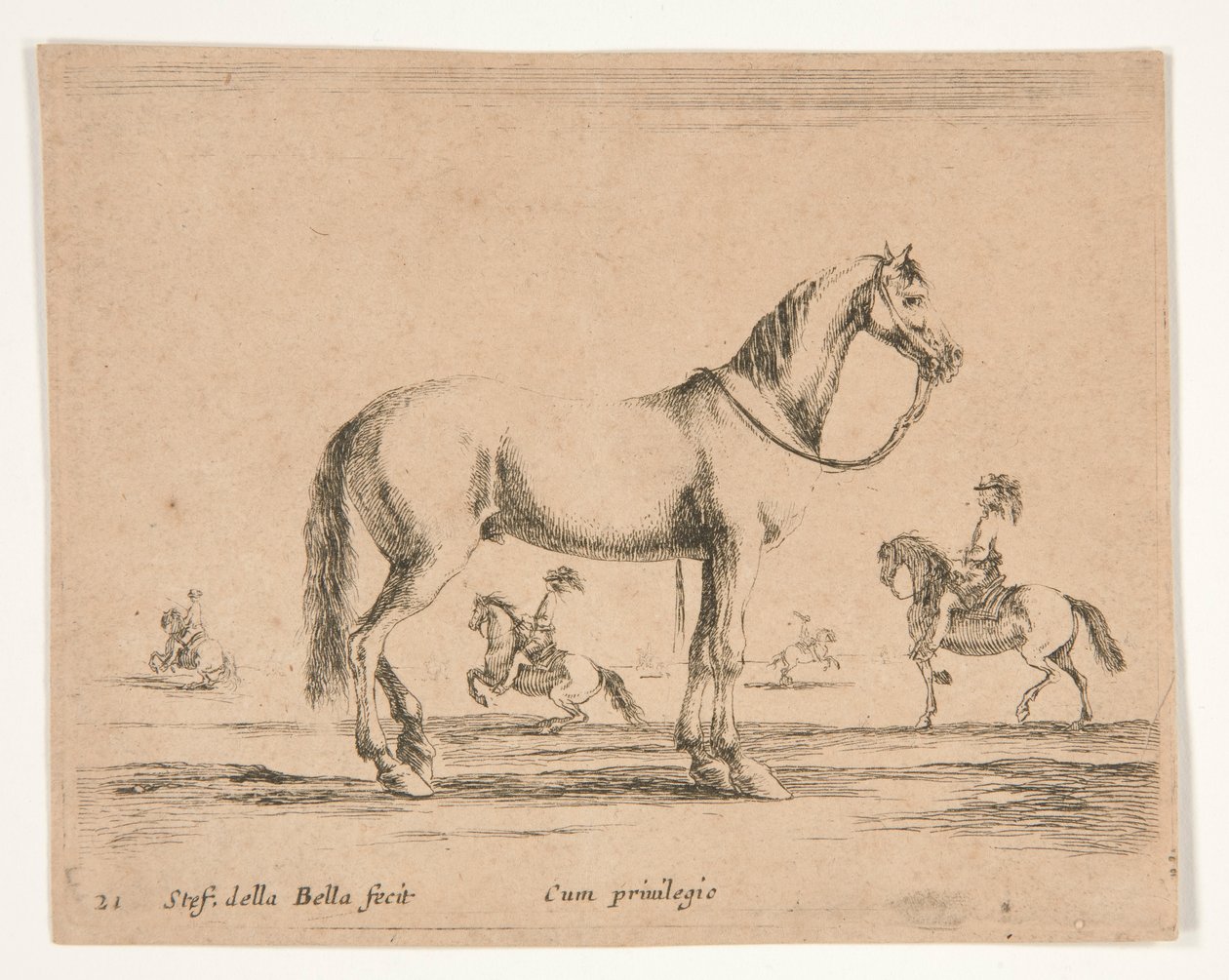 Cheval sans cavalier, avec cavaliers faisant du dressage en arrière-plan - Stefano della Bella