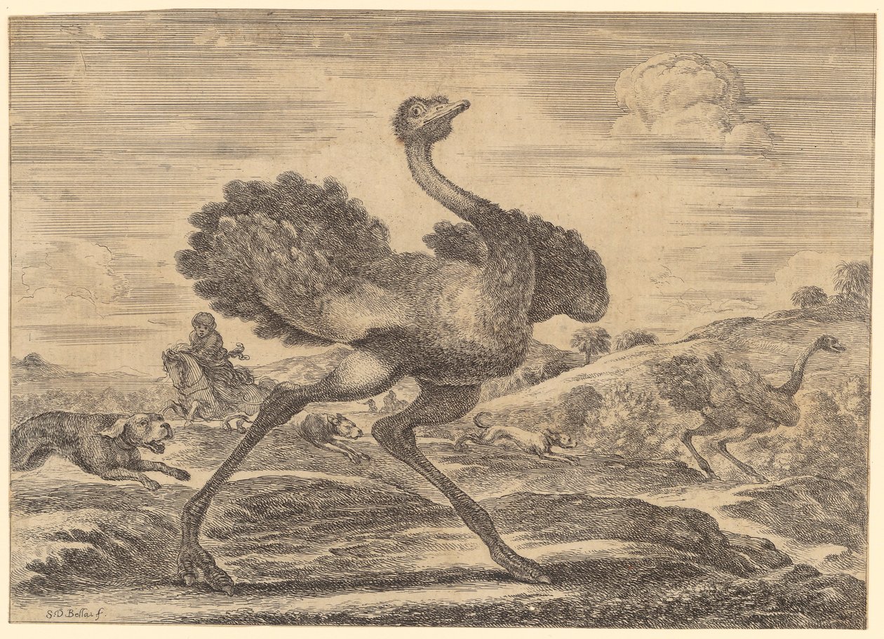 Chasse à l