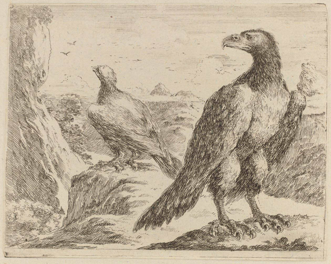 Deux aigles, tous deux tournés vers la gauche - Stefano della Bella