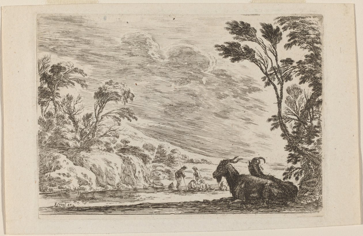 Deux chèvres couchées - Stefano della Bella