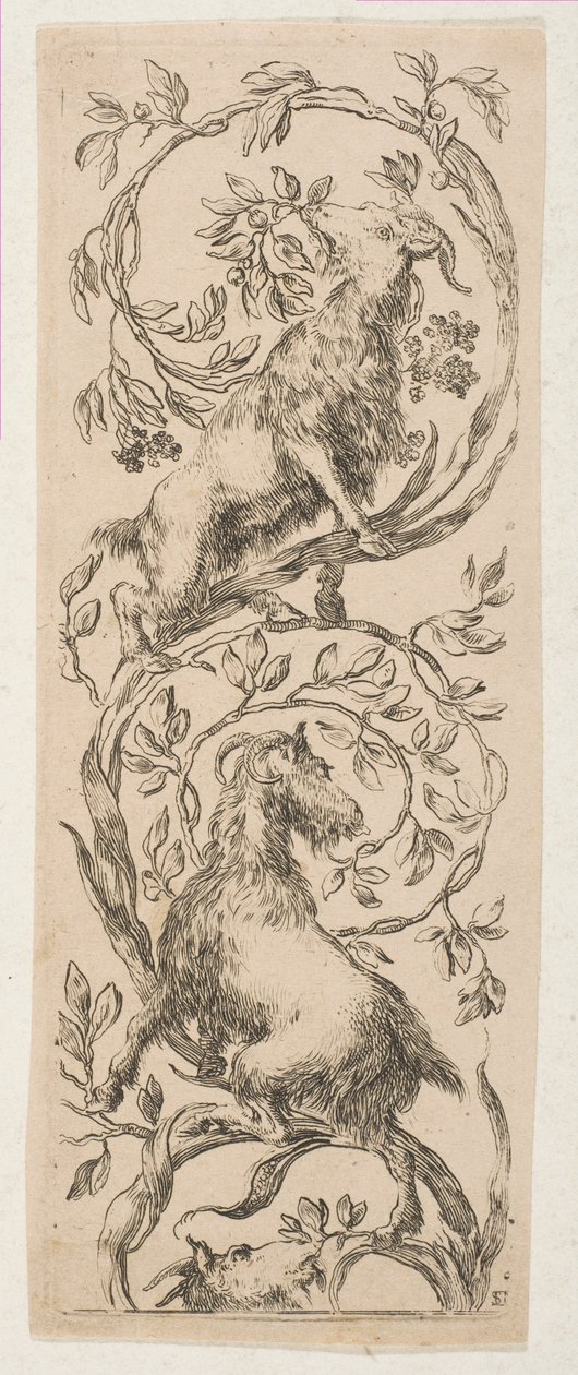Deux chèvres grignotant des branches, vers 1653 - Stefano della Bella