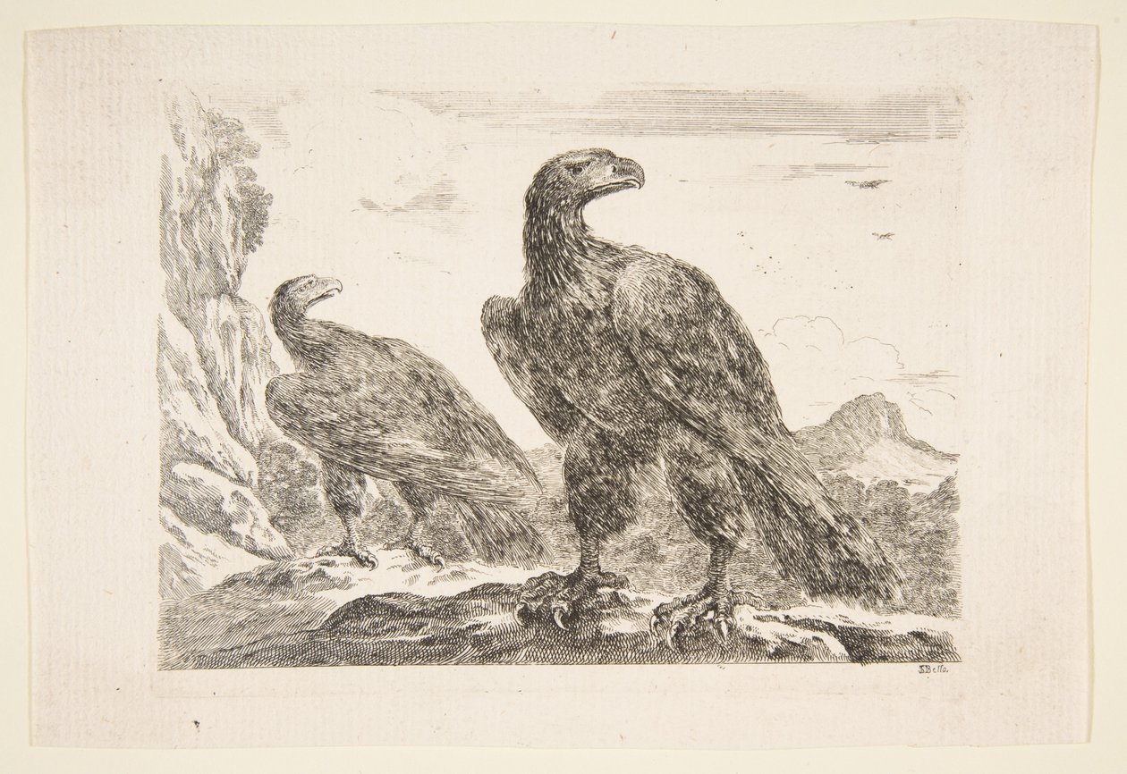 Deux aigles, des 