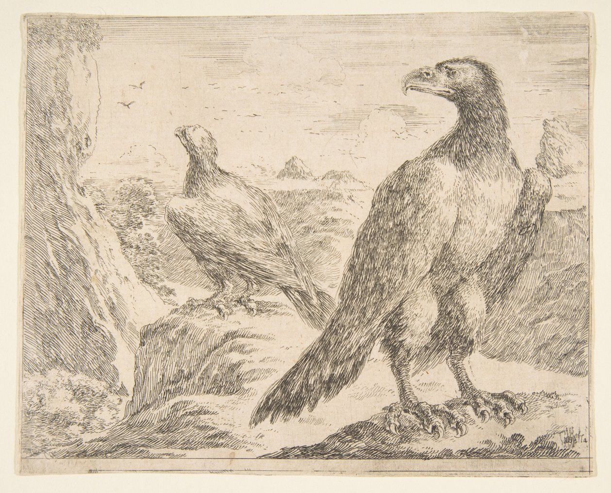 Deux aigles, des Aigles Les aigles, vers 1651 - Stefano della Bella