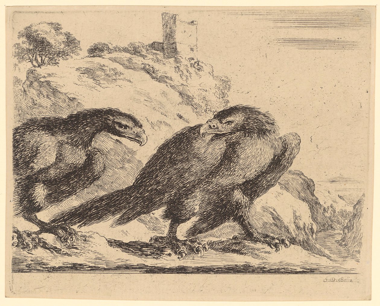 Deux aigles près d