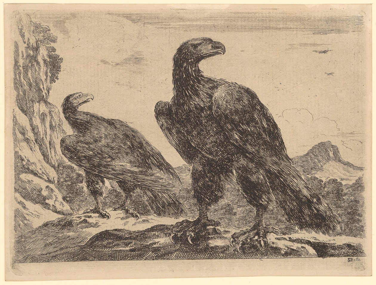 Deux aigles près d
