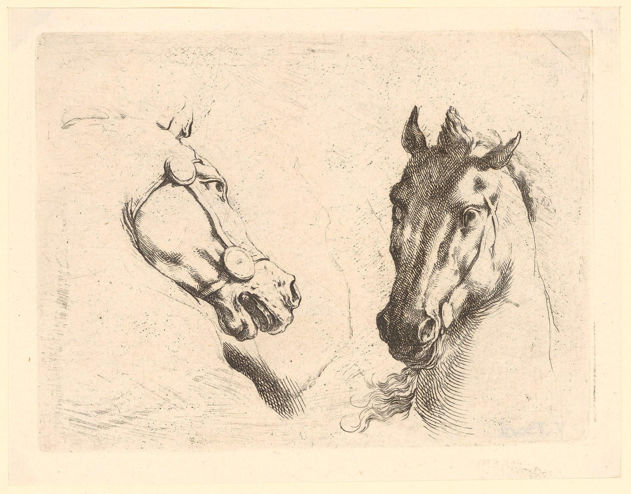 Deux têtes de cheval, planche 1 de la série «Diverses têtes d