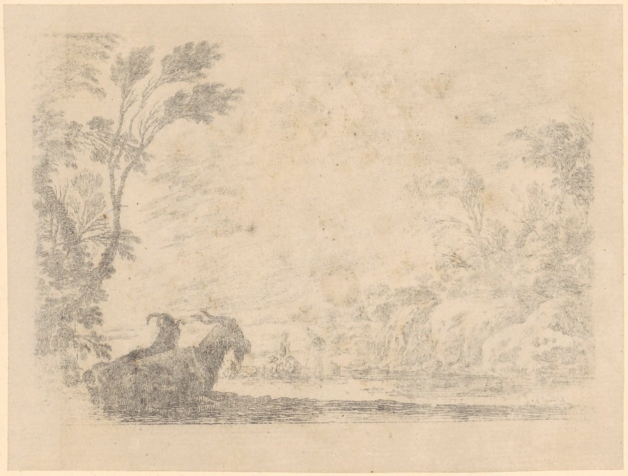 Deux chèvres au repos - Stefano della Bella