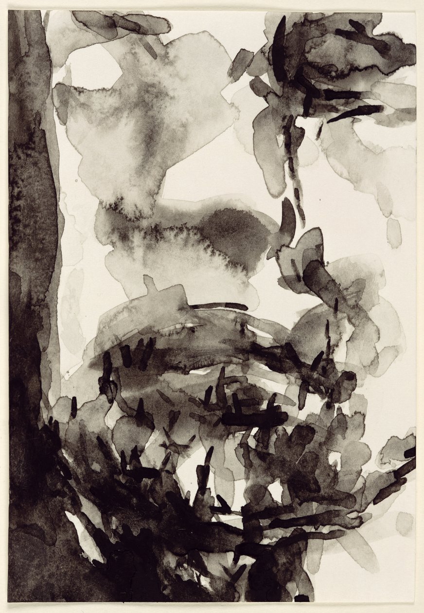Visage, 2001 - Stephen Finer