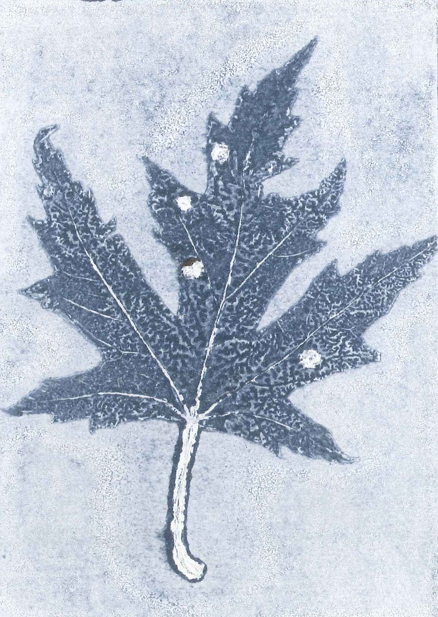 Gone II, 2015 (monoprint sur papier) - Stephen Dow