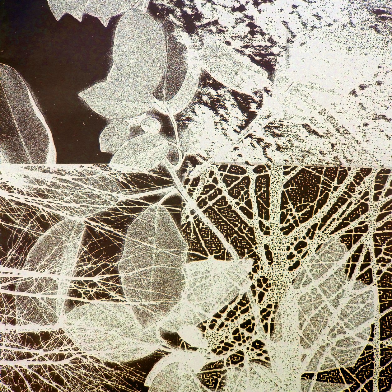 Forêt nocturne, 2018 (numérique) - Stephen Dow