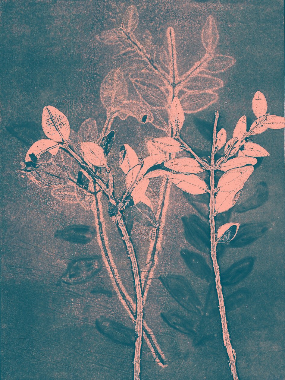 Saison VI, 2018 (numérique) - Stephen Dow