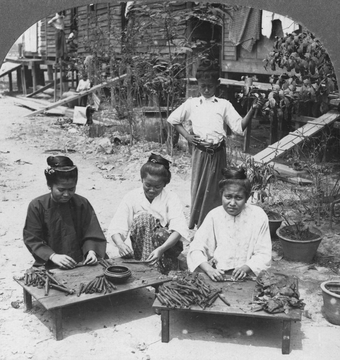 Fabrication des énormes cigares fumés par les femmes, Birmanie, 1908 - Stereo Travel Co
