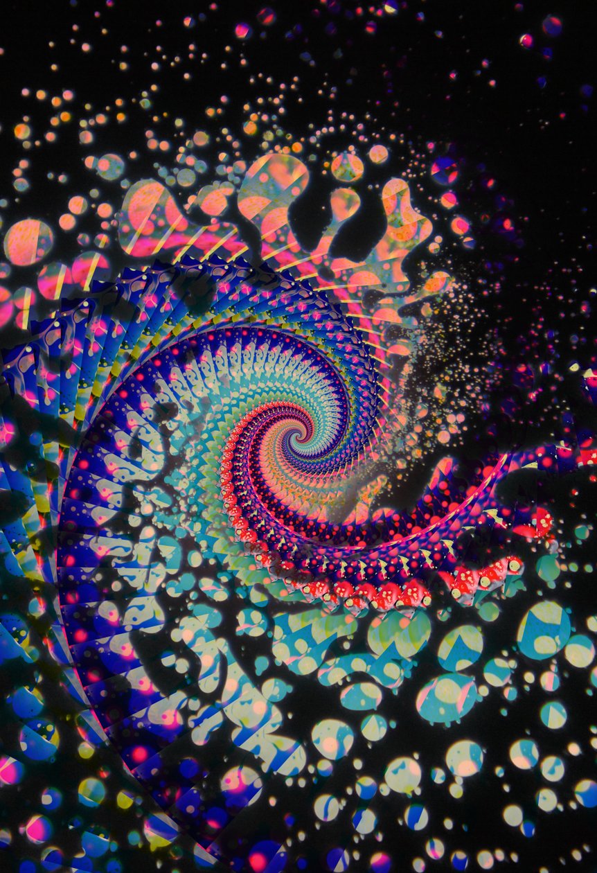 Spirale morte, 2024 - Steve Pavlovsky