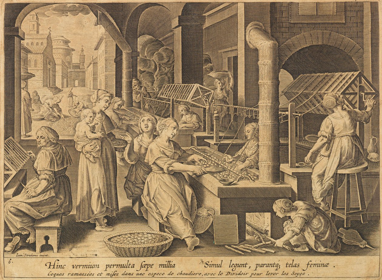 Extraction de la soie Vermis sericus, après 1640 - Stradanus