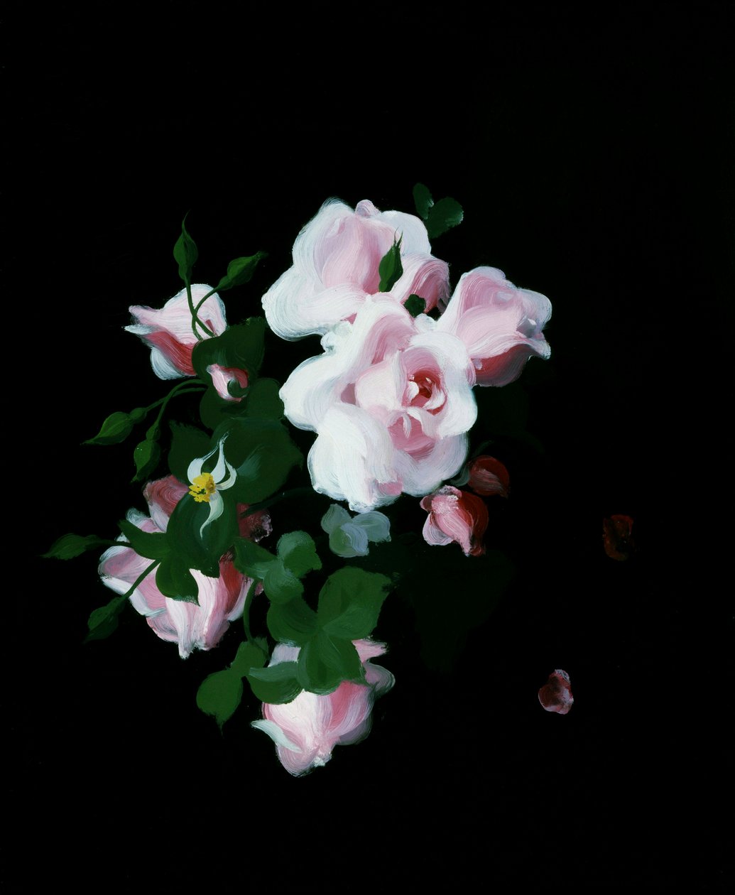 Roses roses. Peinture de Stuart Park (1862-1933) Collection privee. - Stuart Park