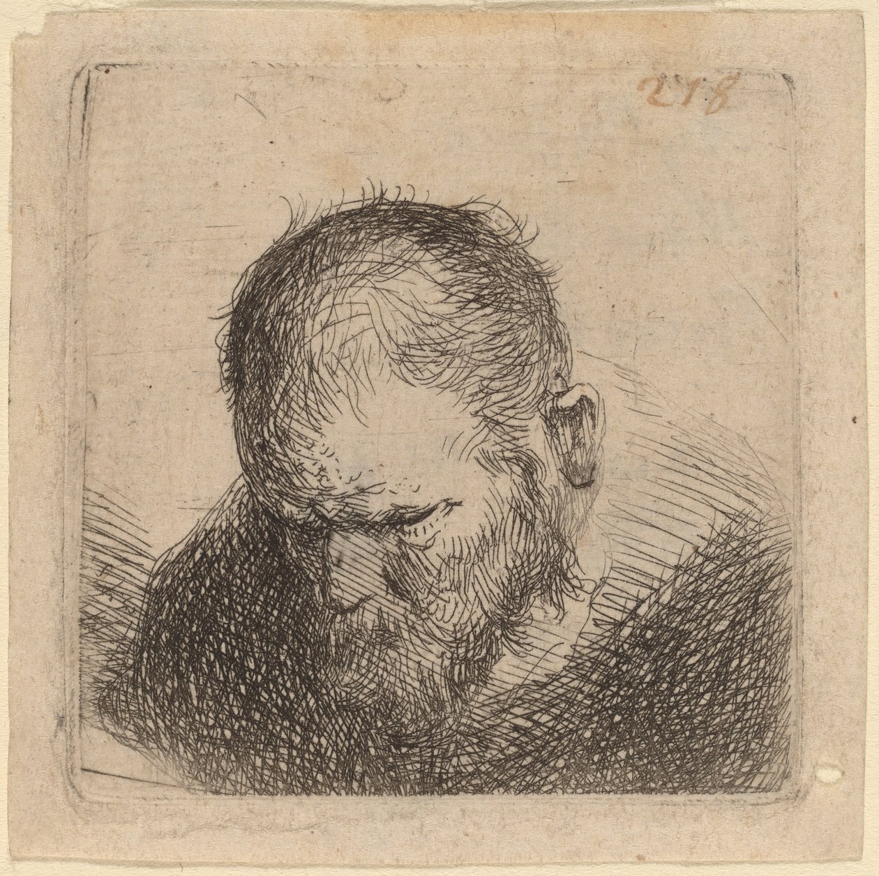 Homme barbu regardant vers le bas - Studio of Rembrandt van Rijn