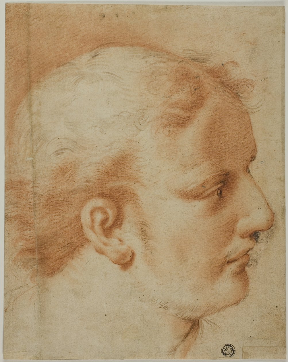 Tête de jeune homme, de profil à droite - Style of Benedetto Luti