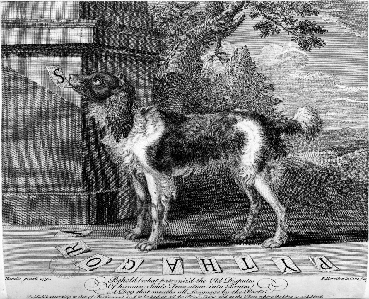 Le Nouveau Chien Savant, ou Chien Savant, gravure de F-Morellon la Cave, 1752 - Sutton Nicholls