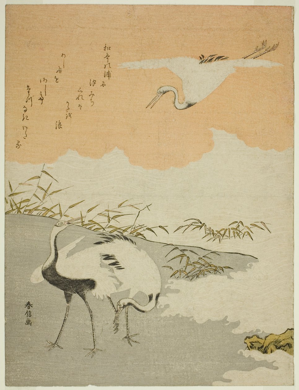 Grues au bord de la mer - Suzuki Harunobu