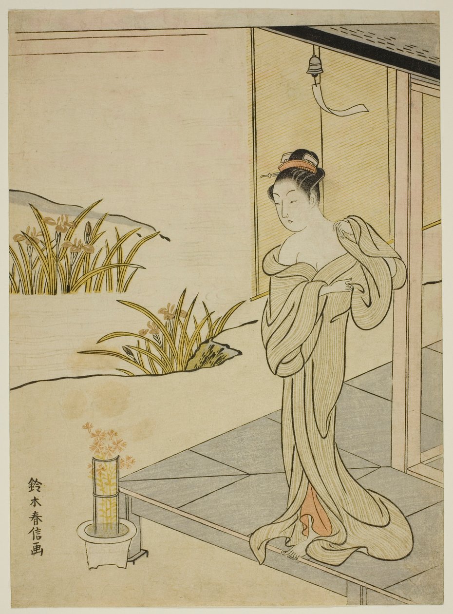 Été, de la série "Nouvelles versions des fleurs des quatre saisons (Shinpan furyu shiki no hana)" - Suzuki Harunobu