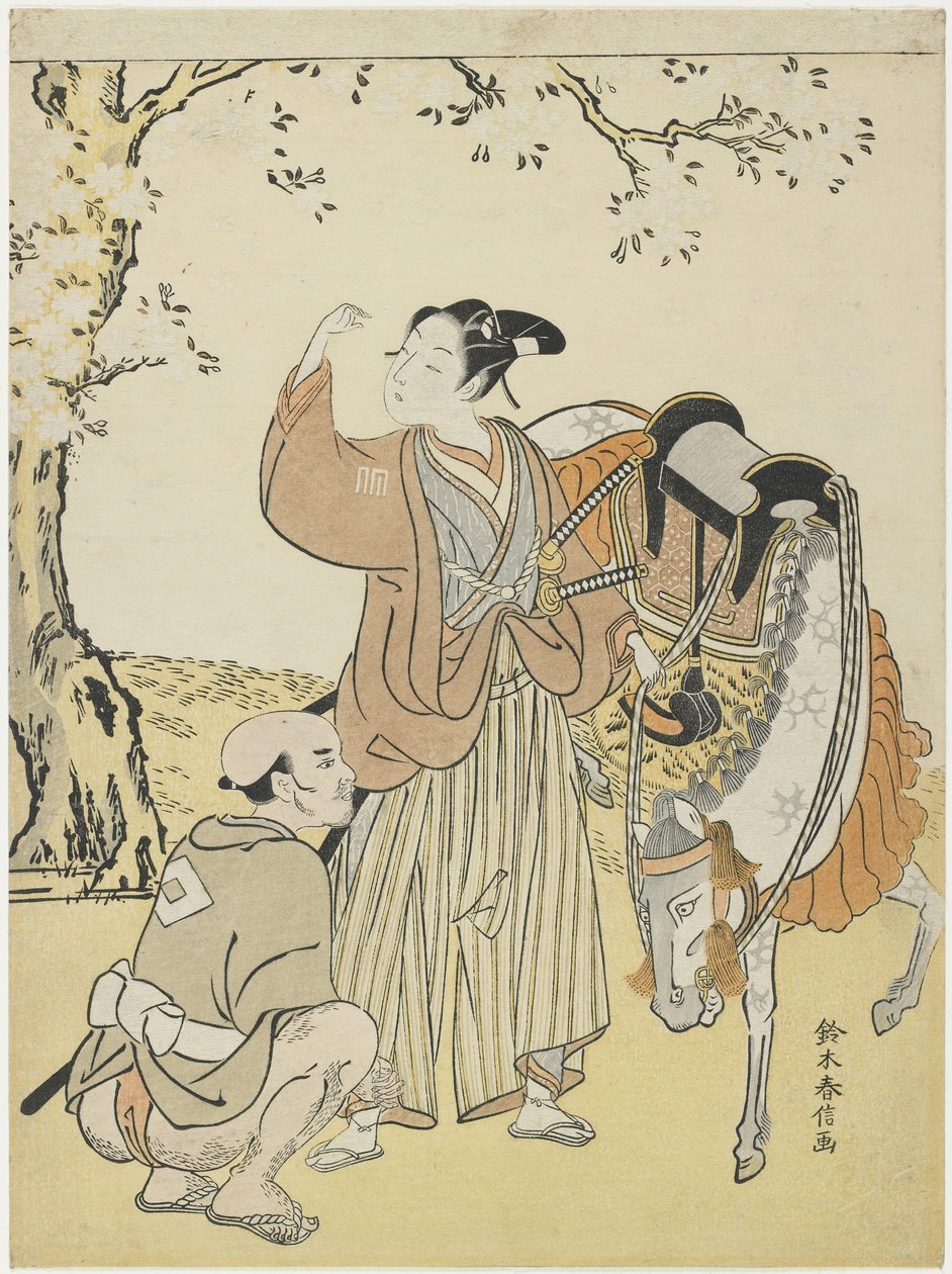 Jeune samouraï regardant les cerisiers en fleurs comme un Mitate du prince Kaoru, vers 1767 - Suzuki Harunobu