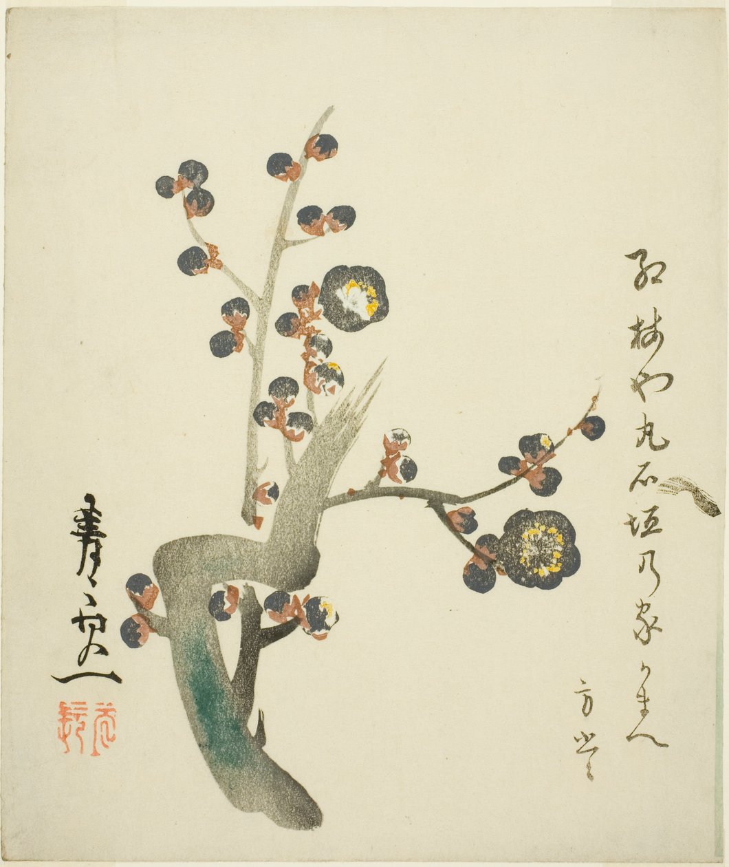 Branche de prunier rouge en fleur - Suzuki Kiitsu