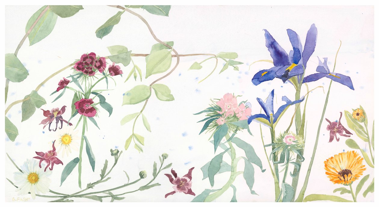  - Suzy Fasht