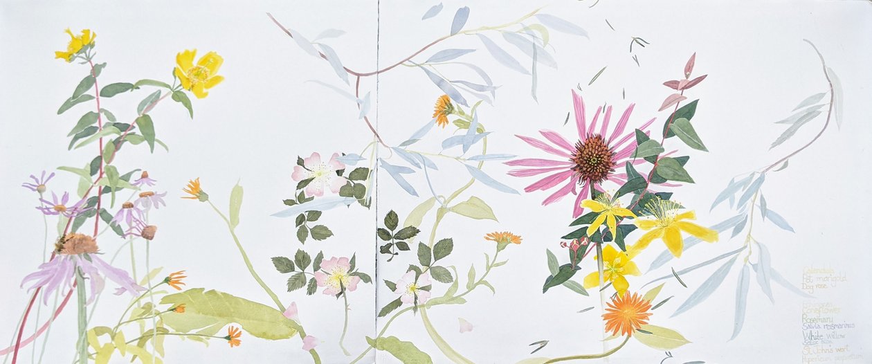  - Suzy Fasht