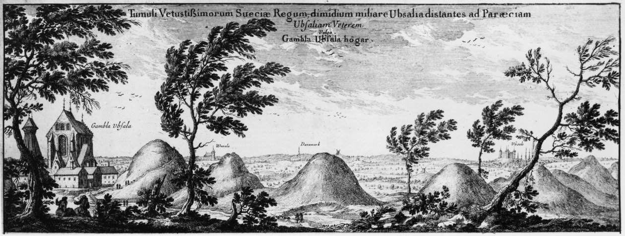 Tertres funéraires à Uppsala, Suède - Swedish School