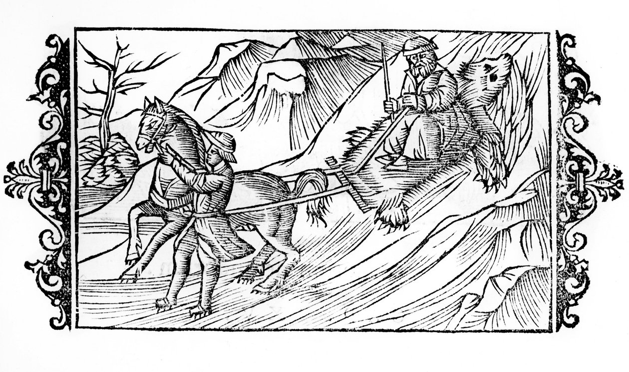 Cheval traînant sur la neige une peau d