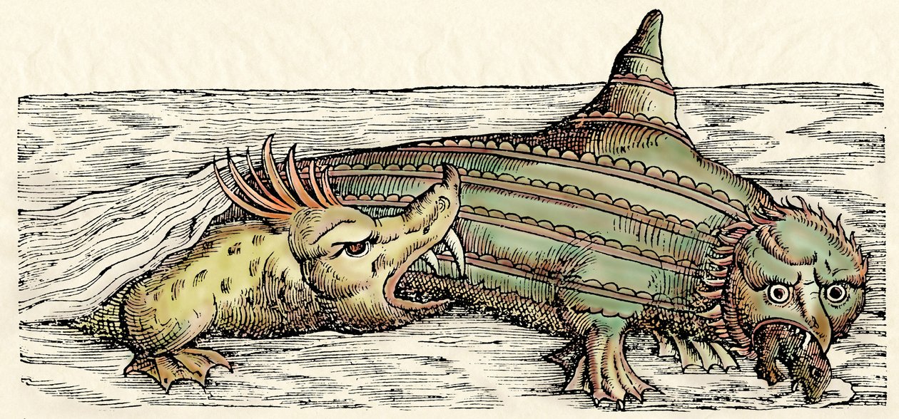 Créatures marines, illustration de 