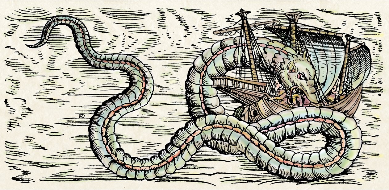 Monstre marin, illustration de 