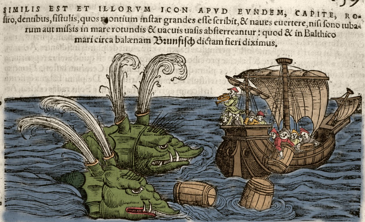 Monstres marins, illustration de 
