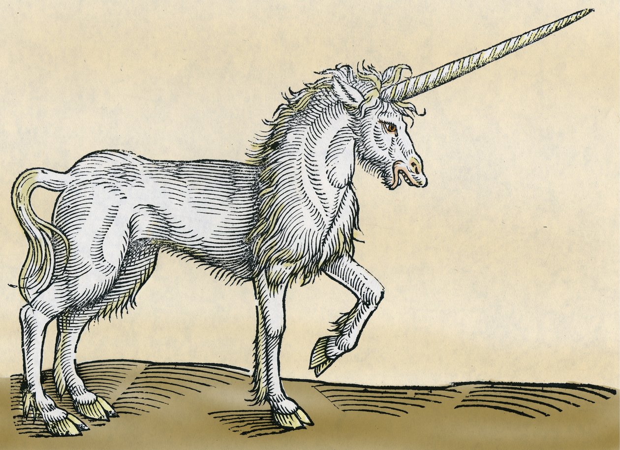Licorne, illustration de Historiae Animalium par Conrad Gesner, 1551 - Swiss School