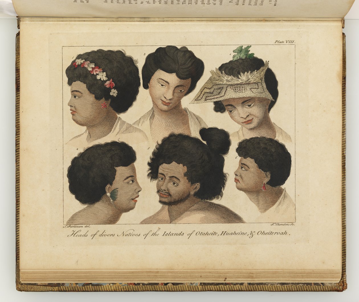 Têtes de divers natifs, illustration de A journal of a voyage to the South Seas : in His Majesty