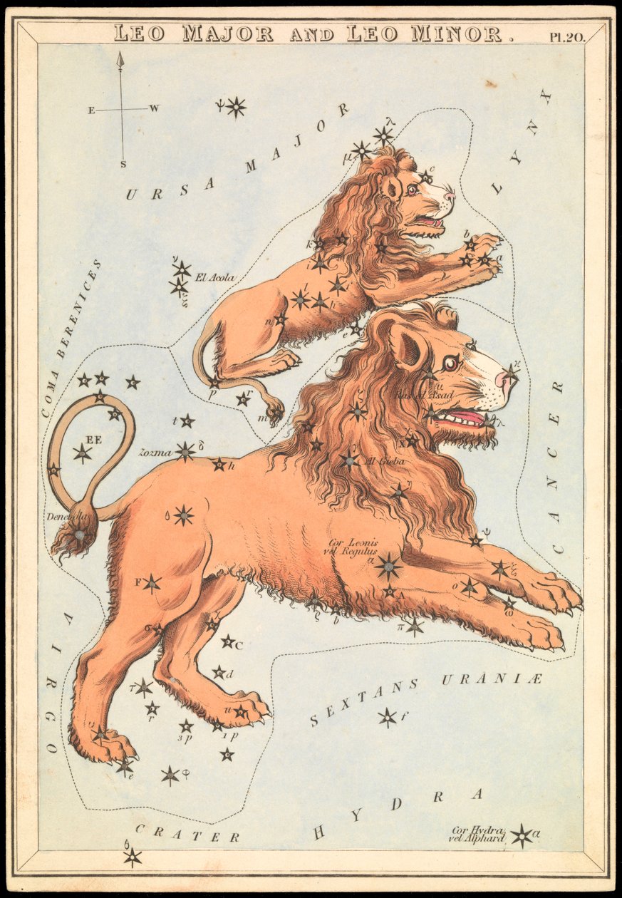 Leo Major et Leo Minor, vers 1825 - Sydney Hall