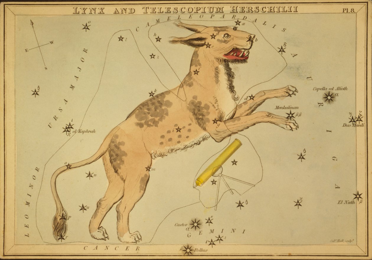 Lynx et Telescopium Herschilii, Illustration de 