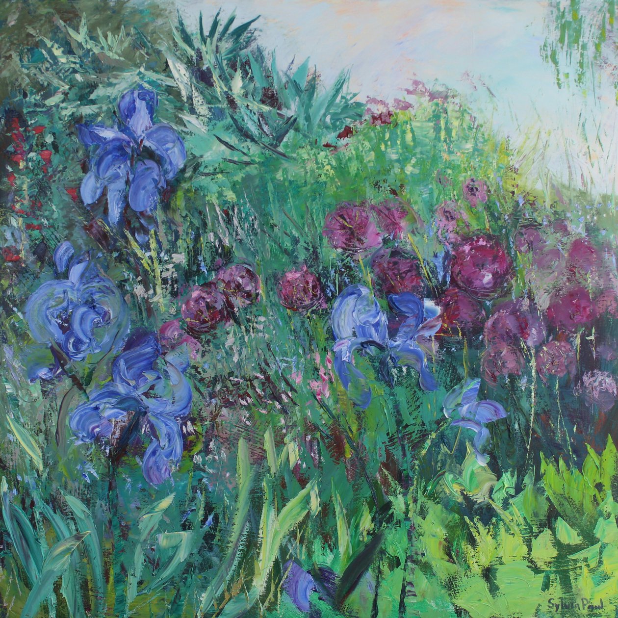 Iris avec Allium - Sylvia Paul