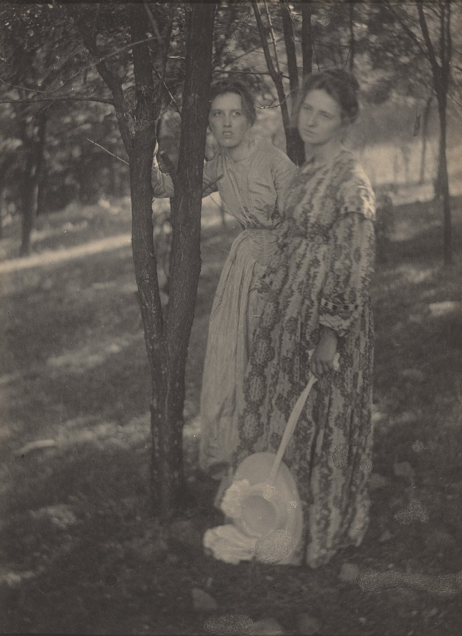 Dans les bois, v. 1899 (photo) - T. M. Edmiston