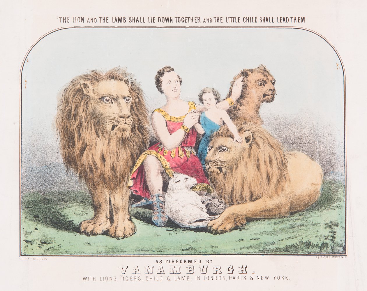 Le lion et l