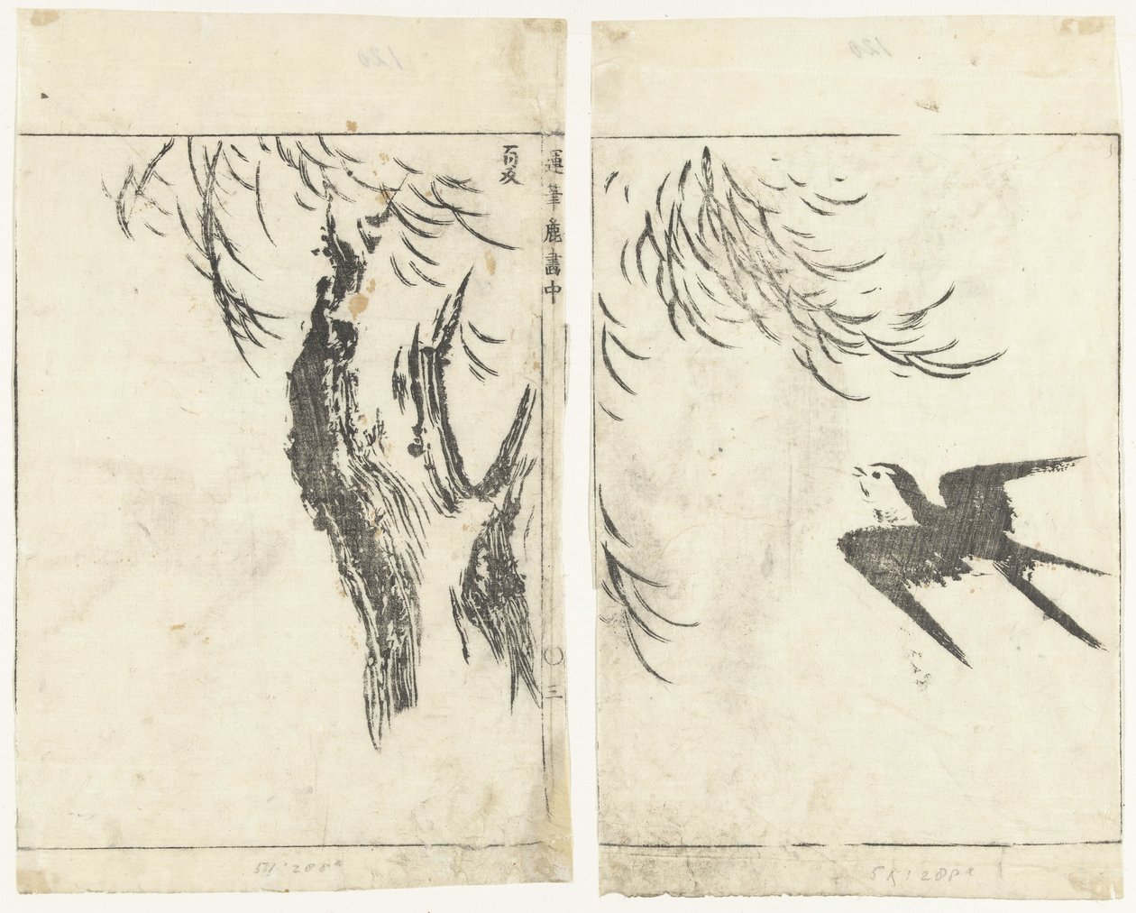 Hirondelle et saule (Images en coups de pinceau rapides) - Tachibana Morikuni