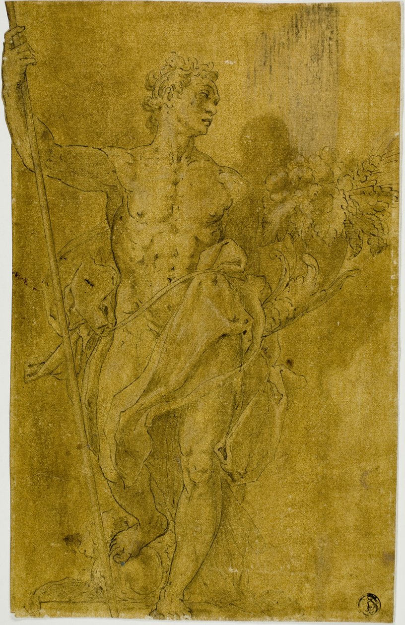 Étude pour une figure allégorique masculine - Taddeo Zuccaro