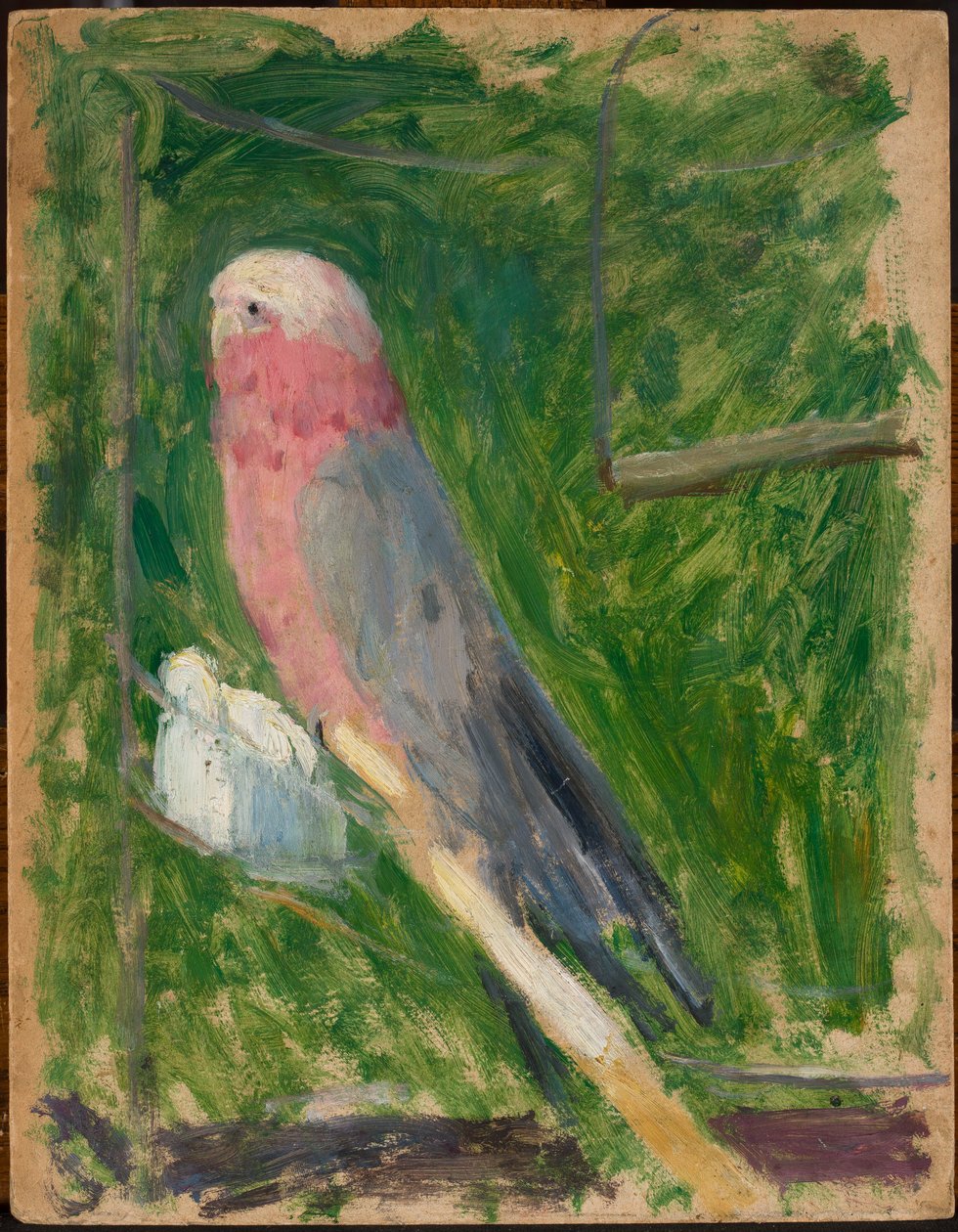 Perroquet - Tadeusz Makowski