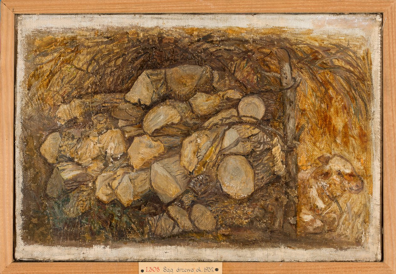 Tas de bois - Tadeusz Makowski