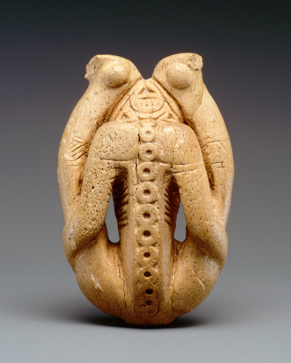 Inhalateur de Cohoba (os de lamantin) - Taino Culture