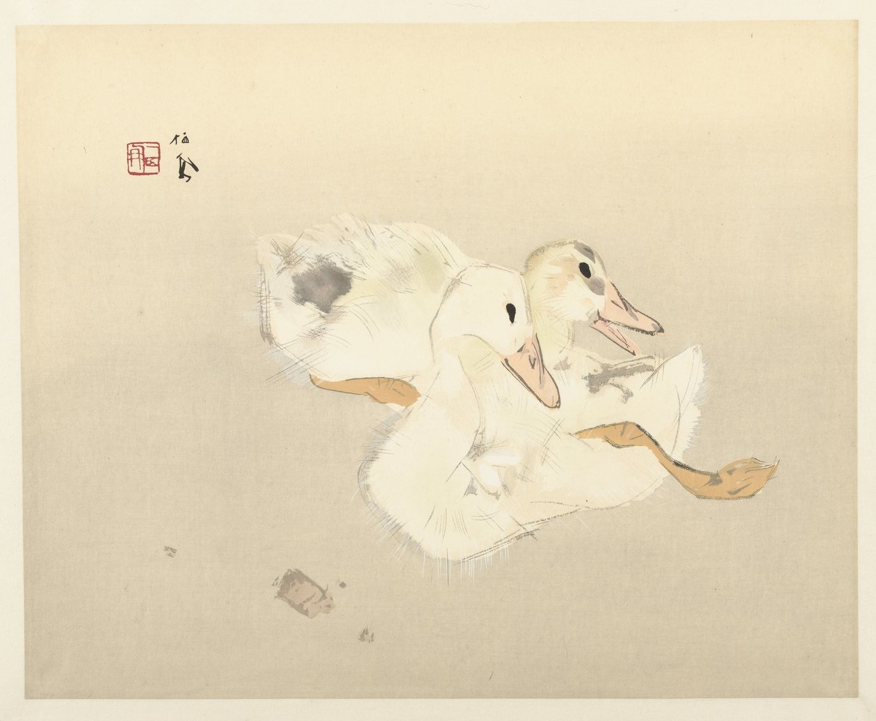 Jeunes canards - Takeuchi Seiho
