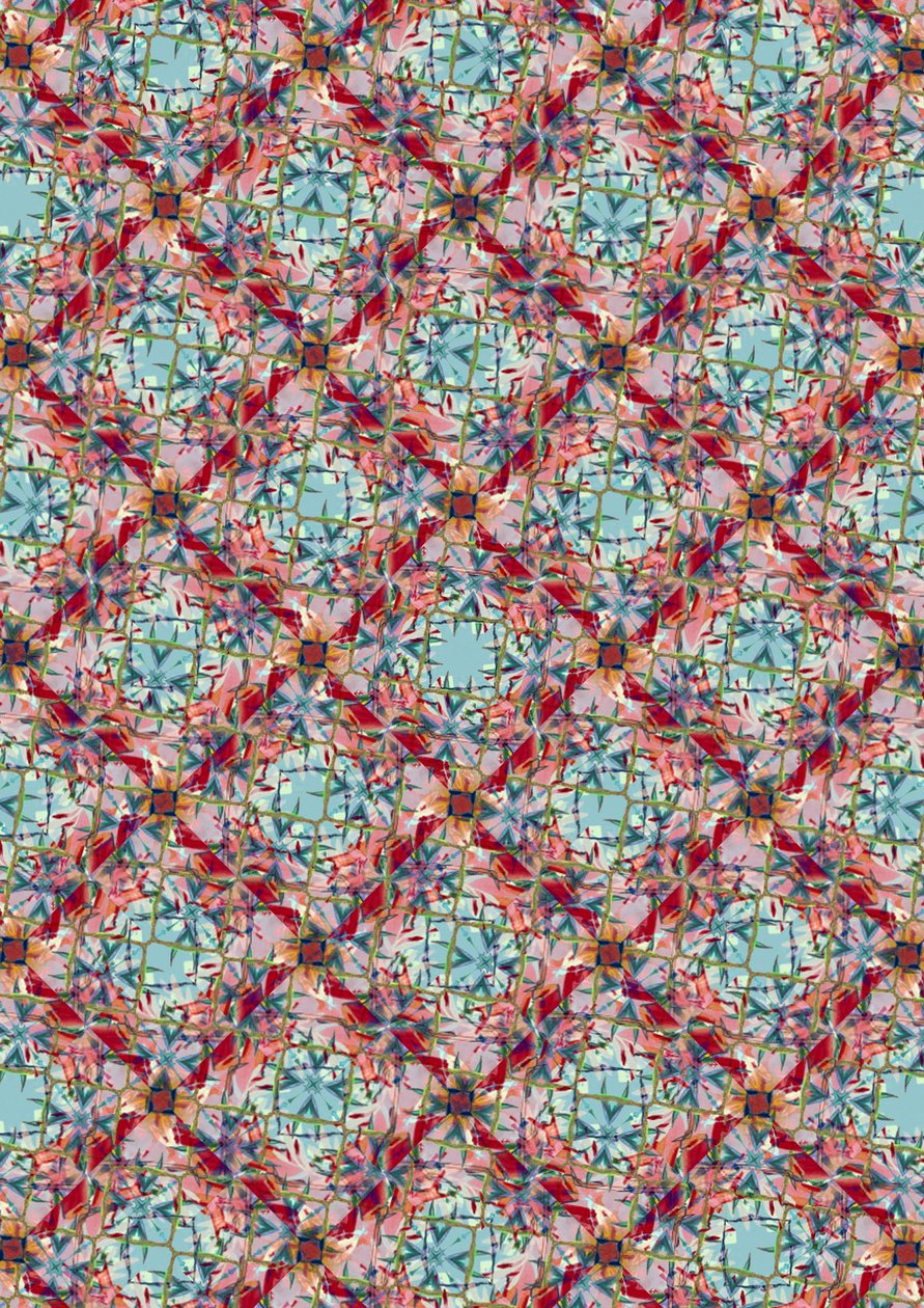 Mélange exotique - Tara Whitehead