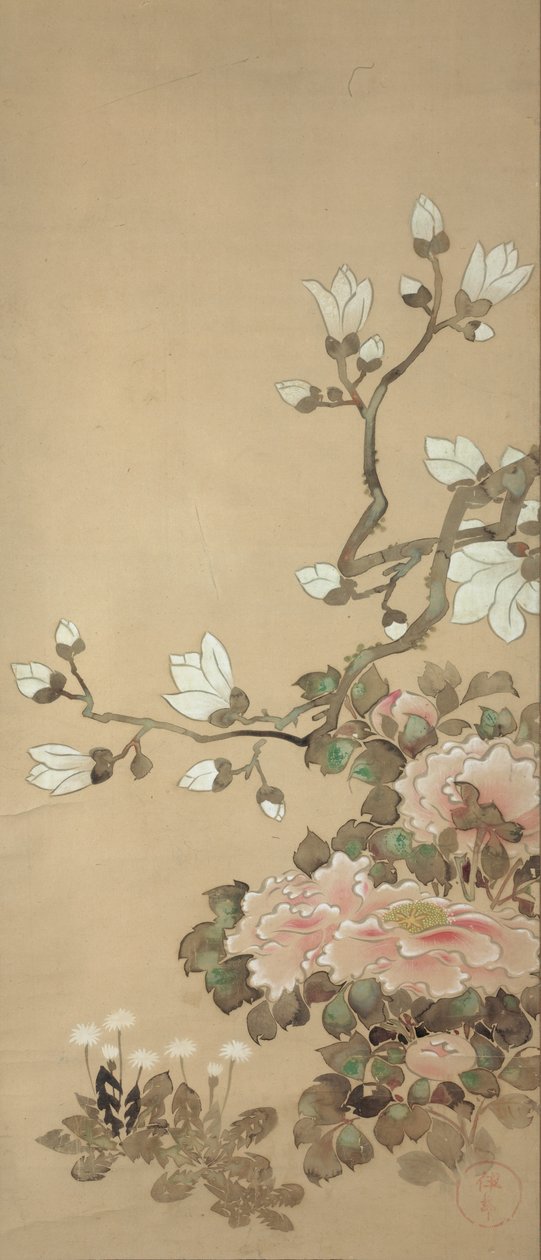 Pivoines, magnolia et pissenlits - Tawaraya Sotatsu